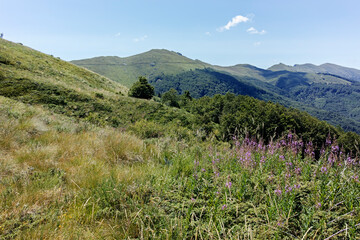 Summer landscape of Belasitsa Mountain, Bulgaria