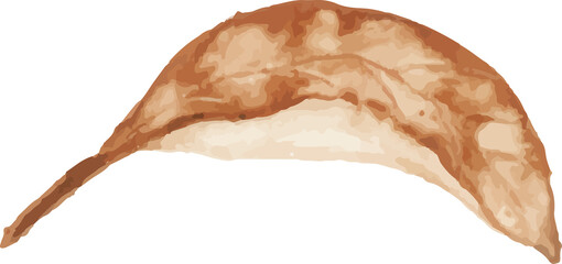 brown leaf isolated