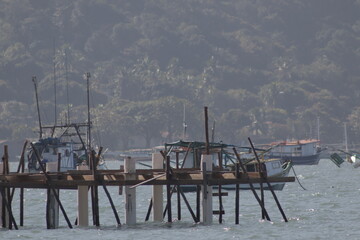 boats on the pier