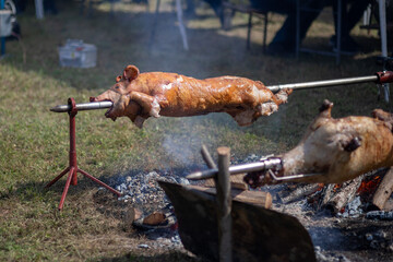 Whole pig roasted on a barbecue spit. Outdoor Barbecue grill a classic traditional open bbq pit....