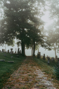 Foggy cemetery
