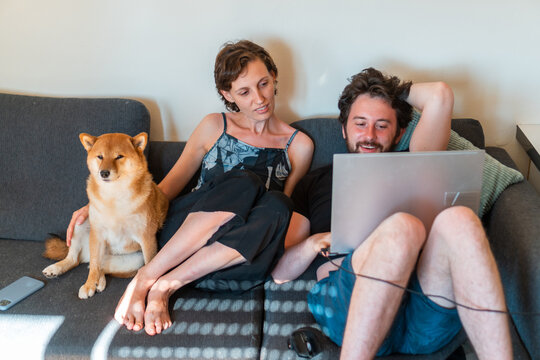 Couple with dog work at home