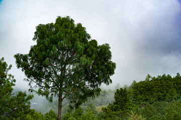Las Animas town, located in the Oaxaca highlands, Mexico