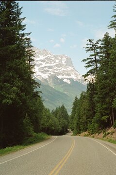 Bella Coola Valley Floor