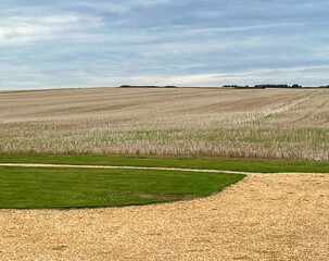 wheat field and sky Cotswolds England