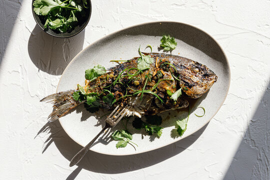 Grilled sea bream fish with herbs