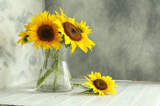 Glass vase with beautiful sunflowers and double-sided backdrops in photo studio