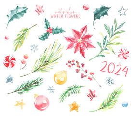 Watercolor set 2024 winter forest Christmas illustration. Woodland plants,poinsettia cone,fir, pine, holly berry, nursery decor for greeting card, poster, invitation,Merry Christmas,New Year, sticker	
