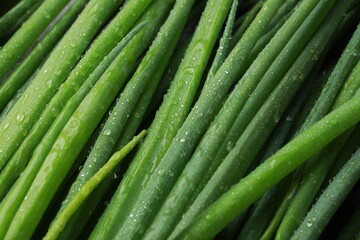 Fototapeta premium Fresh green spring onions with water drops as background, closeup