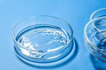 Petri dishes with liquids on blue background, closeup