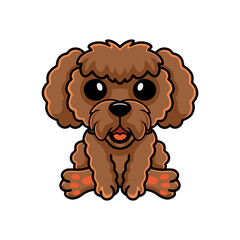 Cute toy poodle dog cartoon