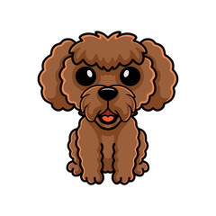 Cute toy poodle dog cartoon