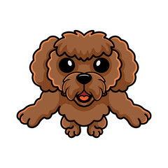 Cute toy poodle dog cartoon holding a bone