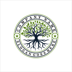 Tree of Life Seal Emblem Oak Family root Maple Stamp logo design vector