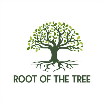 Tree of Life Seal Emblem Oak Family root Maple Stamp logo design vector