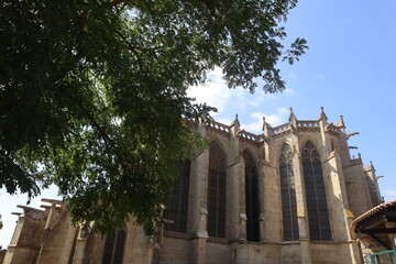 A Summer shot of Carcassonne Cathedral's large windows perspective behind a tree 