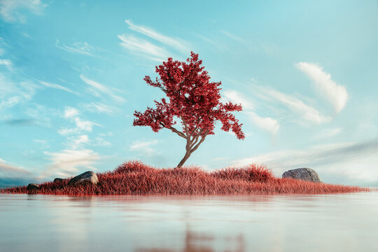 Tree in a surreal landscape