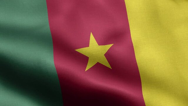 Flag Of Cameroon - Cameroon Flag High Detail - National flag Cameroon wave Pattern loopable Elements - Fabric texture and endless loop - Highly Detailed Flag - The flag of fluttering in the wind