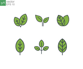 Fototapeta premium Tropical Leaf in branch for decorative. Set of different types of leaves. nature & eco friendly. Eco black line leaf icons. Flat icon, eco set of green. Vector illustration on white background. EPS10