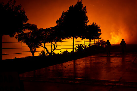 Wildland Fire