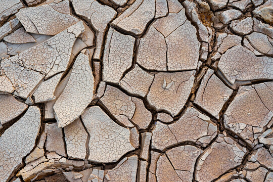 Cracked surface of dry ground
