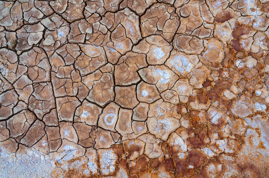 Cracked surface of dry ground