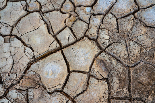Cracked surface of dry ground