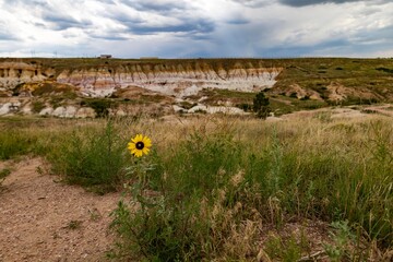 Paint Mines Colorado