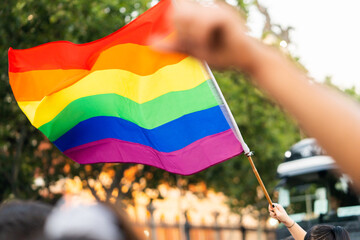 Rainbow Flag In The Pride Parade.