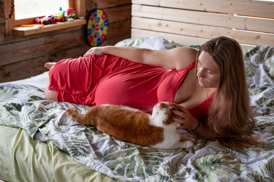 pregnancy: resting pregnant 
