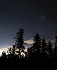 Milky Way over Pike Natl Forest