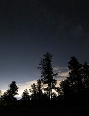 Milky Way over Pike Natl Forest