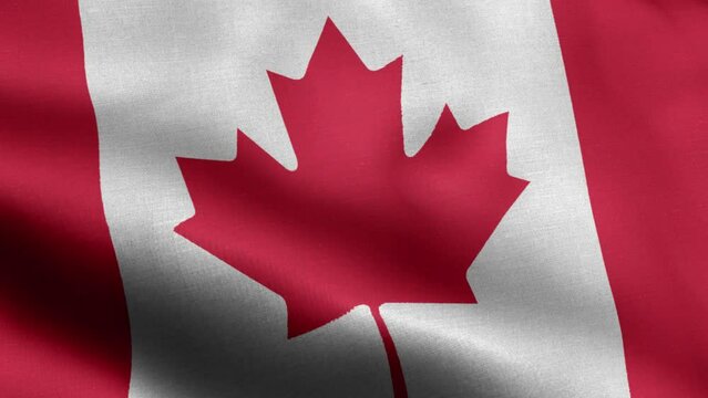 Flag Of Canada - Canada Flag High Detail - National flag Canada wave Pattern loopable Elements - Fabric texture and endless loop - Highly Detailed Flag - The flag of fluttering in the wind