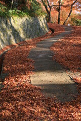 大門寺の紅葉と石垣　大阪府茨木市