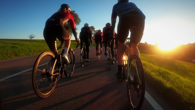 Cyclists riding bicycles in golden sunset lights