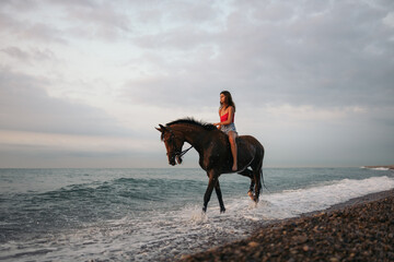 Young woman riding a horse along the beach