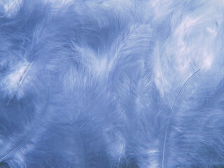 abstract textured background delicate blue beautiful feathers
