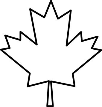 Canadian vector icon and autumn leaves on white background..eps