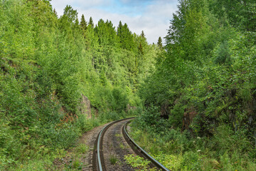 Fototapeta na wymiar Long railway line in the forest at summer day.