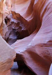 Slot canyon vertical - Secret Antelope Canyon, Page, Arizona