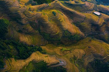 Longji Rice Terraces In Guilin.