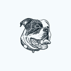 Vintage hand drawn sketch smile bulldog head