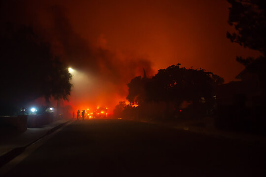 Urban Wildland Fire