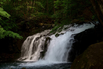 Obraz premium 夏の渓谷の流れに滝のある風景