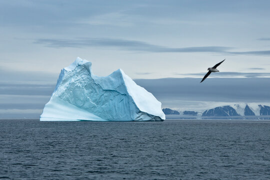 Scenic View Of A Lone Iceberg In The Artic Ocean