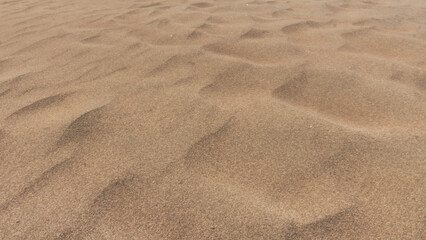 Great Sand Dunes National Park and Preserve
