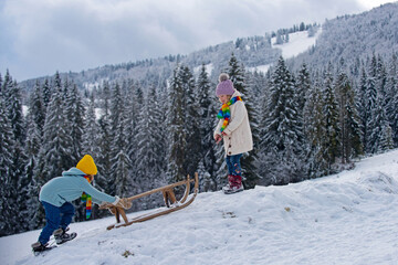 Boy and girl sledding in a snowy forest. Outdoor winter kids fun for Christmas and New Year. Children enjoying a sleigh ride.