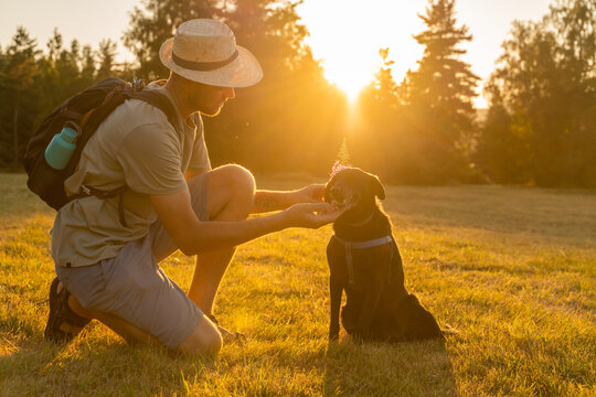 Happy man with dog in nature at sunset