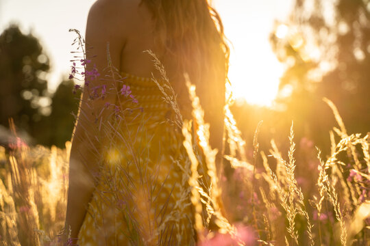 Back view of woman in field at sunset