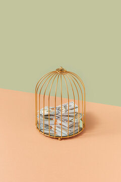 Dollar banknotes in golden birdcage.